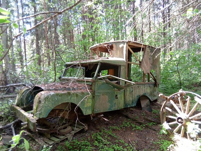 rooveri 1.jpg