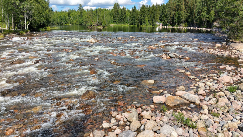 IMG_20240710_130653_HDR.jpg (3.23 MiB) Katsottu 15492 kertaa Lahnasenkoski
